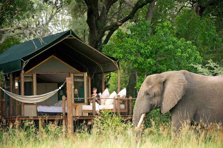 Best Luxury African Safari Companies: Explore the Pinnacle of Safari Travel